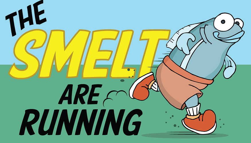 the smelt are running front page notice